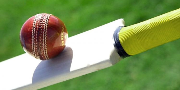 Cricket fantasy league – The best platform for cricket enthusiast