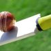 Cricket fantasy league – The best platform for cricket enthusiast