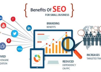 How SEO has Grown Online Businesses in Canada