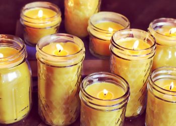 Make Beeswax Candles At Home: Three Methods