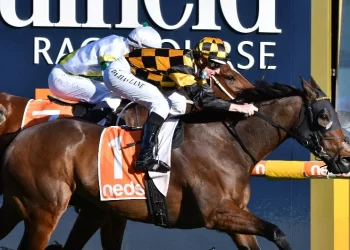 Is The Sir Rupert Clarke Stakes Worth Betting On? 