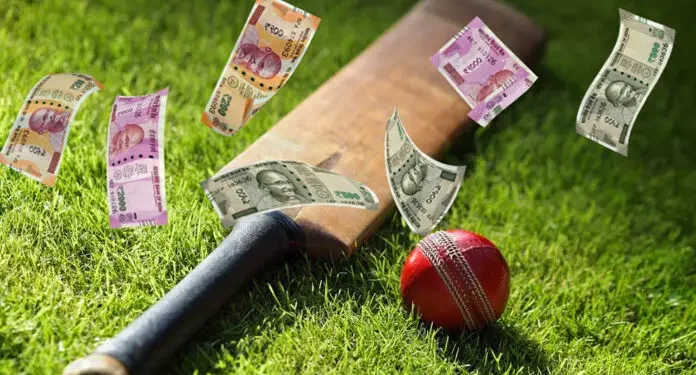 Complete Guide to Betting on Cricket: Everything There Is To Know