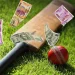 Complete Guide to Betting on Cricket: Everything There Is To Know