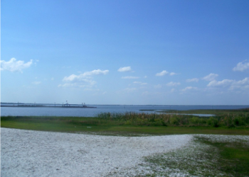 Top 5 Bass Fishing Lakes in Orlando Florida