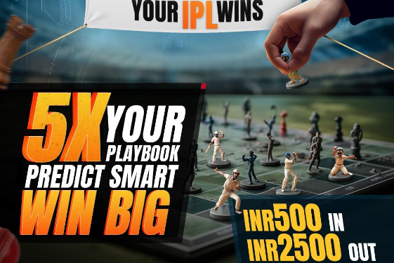 Responsible Gambling: An Ultimate Manual for Fans of Cricket Who Prefer Indibet App