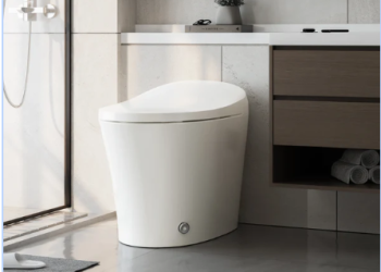 Discover the Ultimate in Comfort and Hygiene: The Best Bidet Toilet from Horow