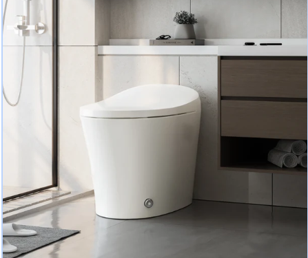 Discover the Ultimate in Comfort and Hygiene: The Best Bidet Toilet from Horow